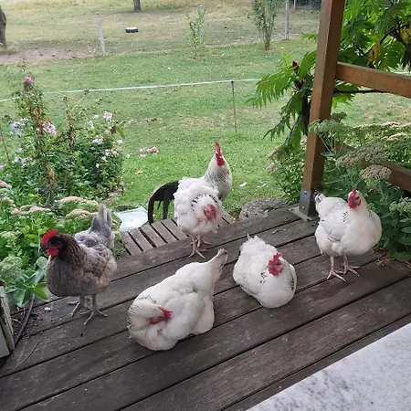 Hébergement de vacances Maison à La Campagne, Coté Forêt Beaubray