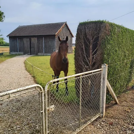 Maison à La Campagne, Coté Forêt Hébergement de vacances